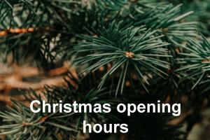 Close-up image of a branch of a Christmas tree 