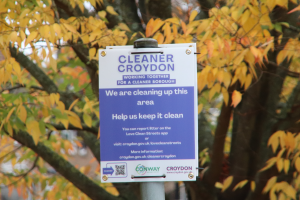 Cleaner Croydon notice on a signpost in front of an autumnal tree