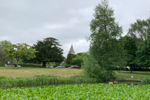 Sanderstead Pond with Church spire in background