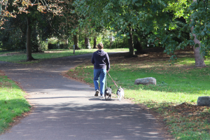 A dog walker in Wandle Park - one of the areas that will benefit from Pride in Place funding