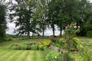 A garden with several felled trees in Coulsdon