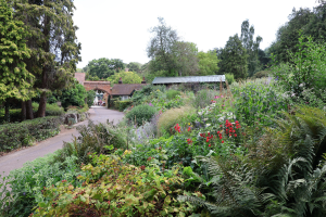 Photo of Coombe Wood