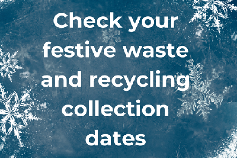 Image for check your festive waste and recycling dates